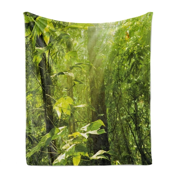 Nature Soft Flannel Fleece Throw Blanket, Forest with Sunray Foliage Leaf Branches Woodland Eco Jungle Misty Picture, Cozy Plush for Indoor and Outdoor Use, 70" x 90", Lime Green Brown, by Ambesonne