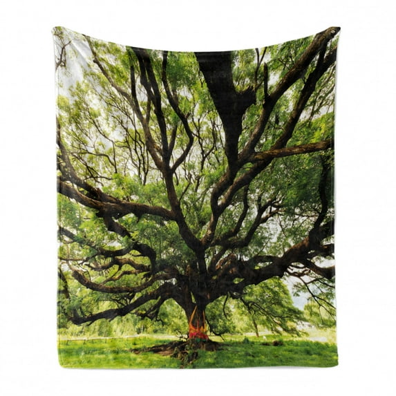 Nature Soft Flannel Fleece Throw Blanket, Largest Monkey Pod Tree in Thailand Eastern Green Big Branches Growth Eco Photo, Cozy Plush for Indoor and Outdoor Use, 70" x 90", Green Brown, by Ambesonne