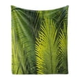 thumbnail image 1 of Nature Soft Flannel Fleece Throw Blanket, Tropical Foliage Pattern with Exotic Leaves Palm Tree Photography Hawaii Greens, Cozy Plush for Indoor and Outdoor Use, 60" x 80", Fern Green, by Ambesonne, 1 of 6
