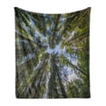 thumbnail image 1 of Nature Soft Flannel Fleece Throw Blanket, Wild Jungle Moss Forest Crown Trees Leaves Nature Photo Artwork, Cozy Plush for Indoor and Outdoor Use, 60" x 80", Forest Green Sky Blue, by Ambesonne, 1 of 6