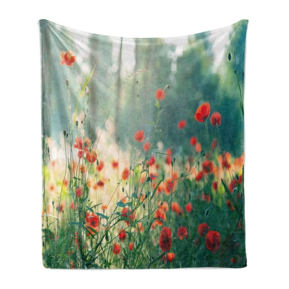 Nature Soft Flannel Fleece Throw Blanket, Wild Red Poppy Flowers Field Summertime Sunbeams Gardening Bedding Plants, Cozy Plush for Indoor and Outdoor Use, 60" x 80", Red Green Yellow, by Ambesonne