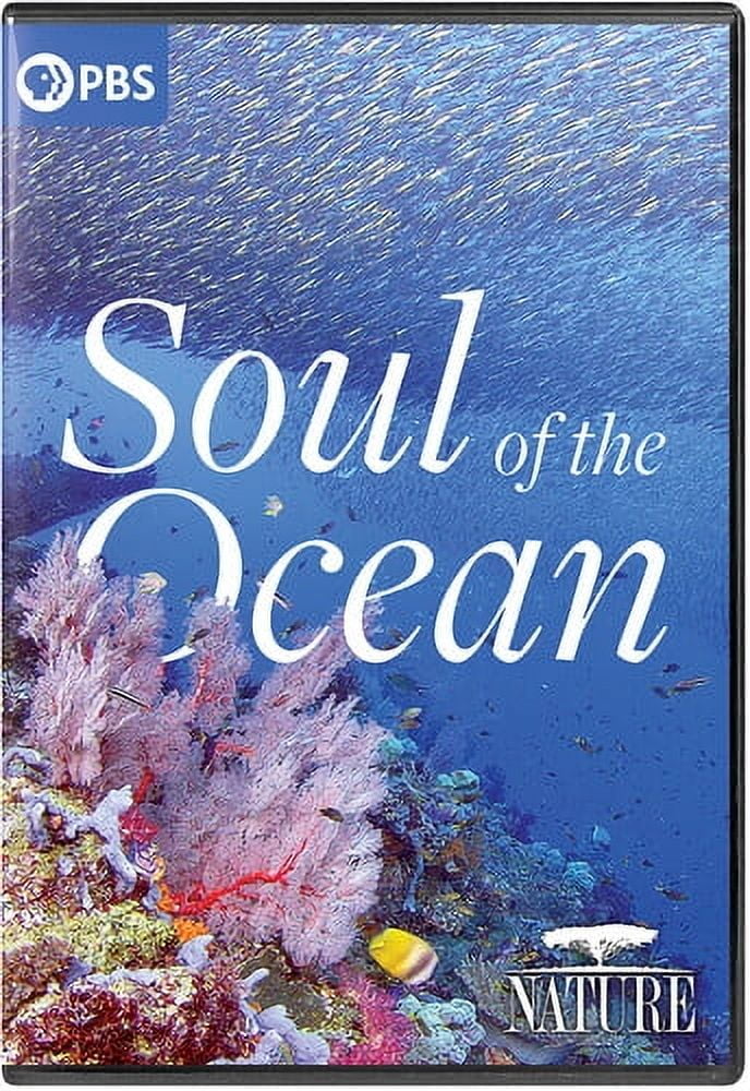 Nature: Soul Of The Ocean (DVD), PBS (Direct), Documentary