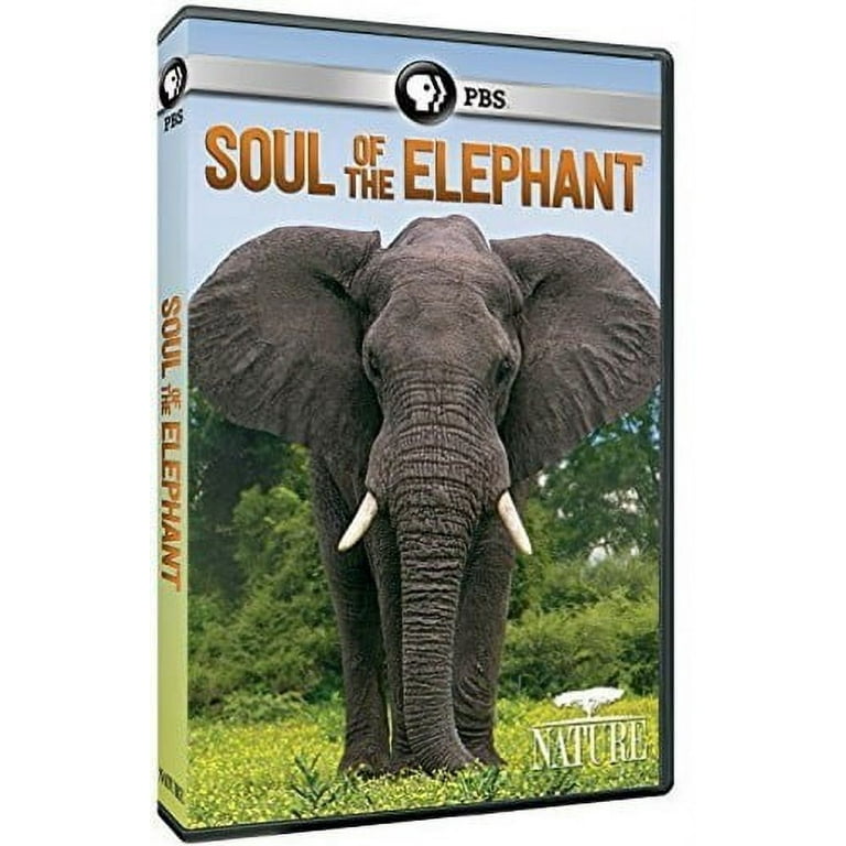 Nature: Soul of the Elephant (DVD), PBS (Direct), Special