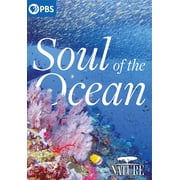 NATURE Soul of the Ocean