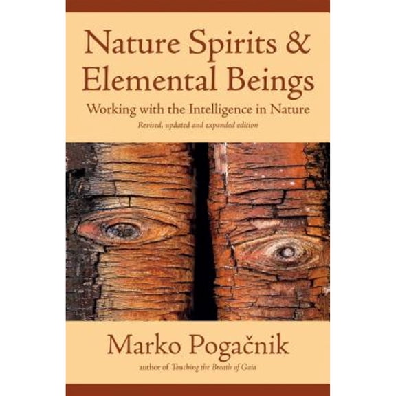 Pre-Owned Nature Spirits and Elemental Beings : Working with the Intelligence in Nature (Paperback) 9781844091751