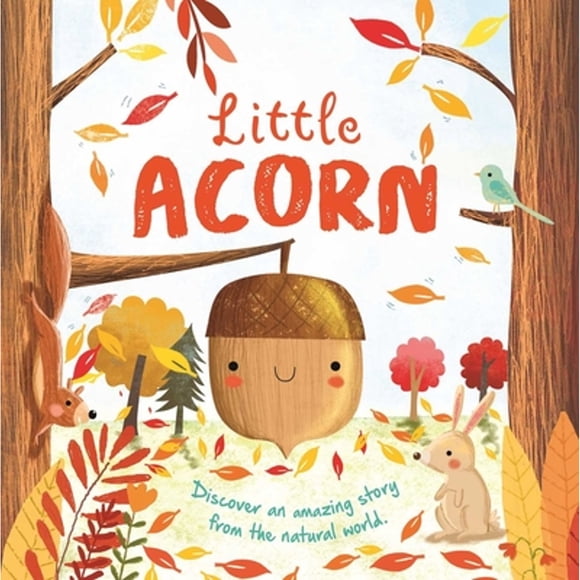 Pre-Owned Nature Stories: Little Acorn-Discover an Amazing Story from the Natural World: Padded Board Book (Board book) 1803684399 9781803684390