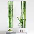 thumbnail image 1 of Nature Tapestry, Branches of Bamboo Board Stalk Tropics Plants Greenery Fengshui Natural, Fabric Wall Hanging Decor for Bedroom Living Room Dorm, 5 Sizes, Fern Green White, by Ambesonne, 1 of 1