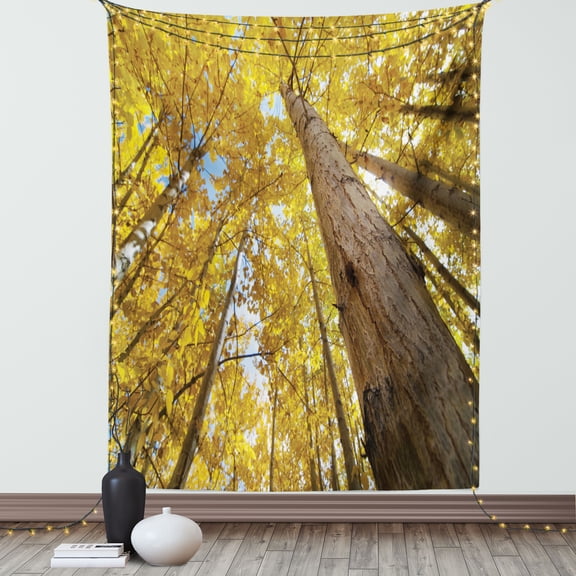 Nature Tapestry, Image of Up View of Fall Aspen Tree Leaves in Faded Tone Autumn Season Photography, Wall Hanging for Bedroom Living Room Dorm Decor, 60W X 80L Inches, Yellow, by Ambesonne