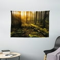 thumbnail image 1 of Nature Tapestry, Misty Morning in the Forest with Sun Rays Mother Earth Foliage Dawn Picture, Wall Hanging for Bedroom Living Room Dorm Decor, 60W X 40L Inches, Brown Fern Green, by Ambesonne, 1 of 2