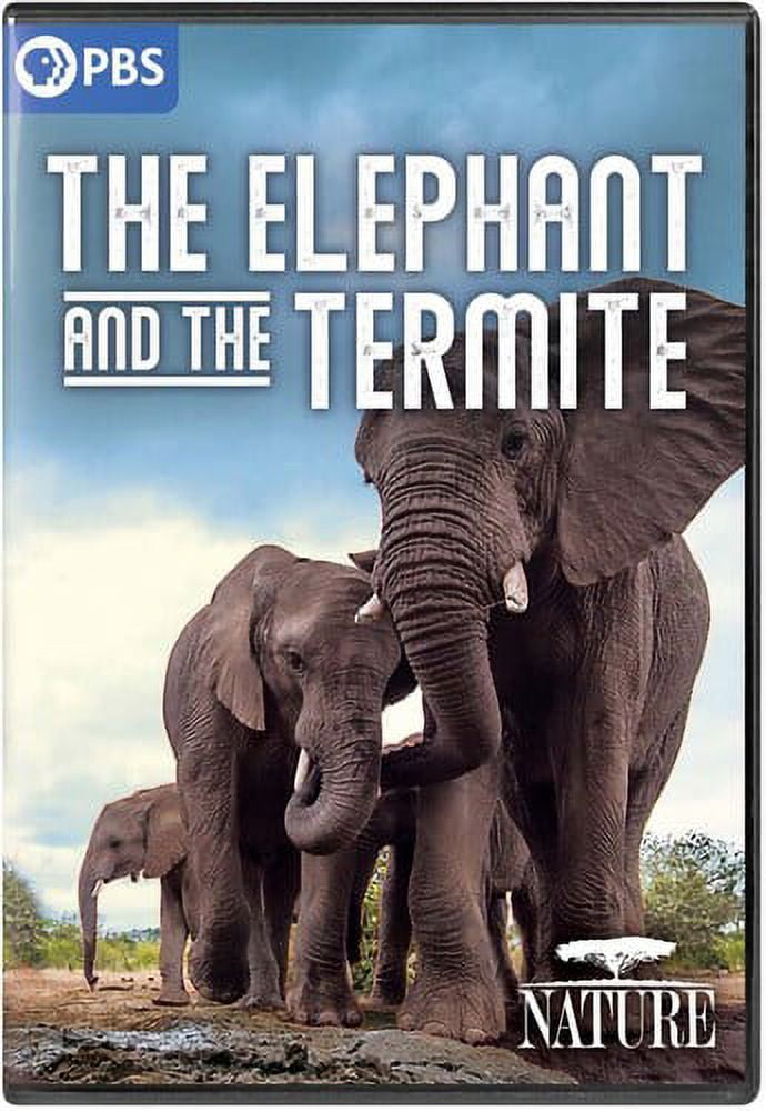 Nature The Elephant And The Termite (DVD)