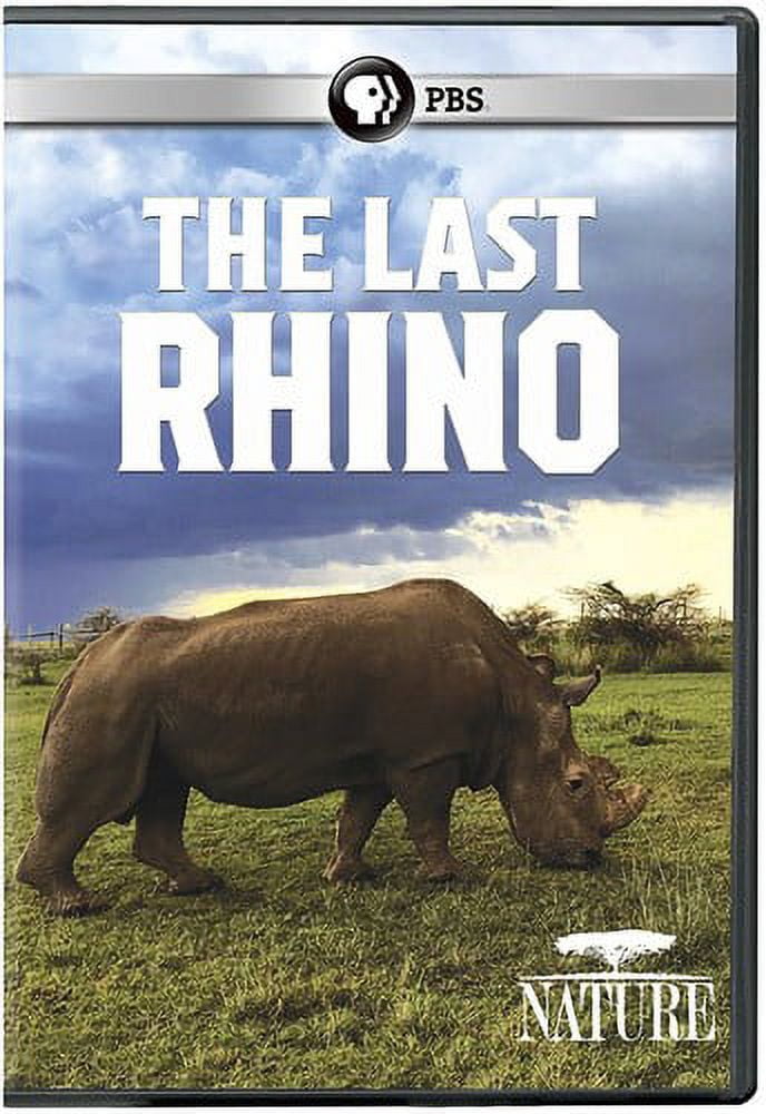 Nature: The Last Rhino (DVD), PBS (Direct), Special Interests - Walmart.com
