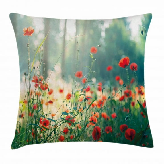 Nature Throw Pillow Cushion Cover, Wild Red Poppy Flowers Field Summertime Sunbeams Gardening Bedding Plants, Decorative Square Accent Pillow Case, 20 X 20 Inches, Red Green Yellow, by Ambesonne