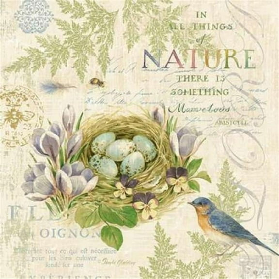 Nature Trail I Poster Print by Pamela Gladding - 12 x 12 - Small