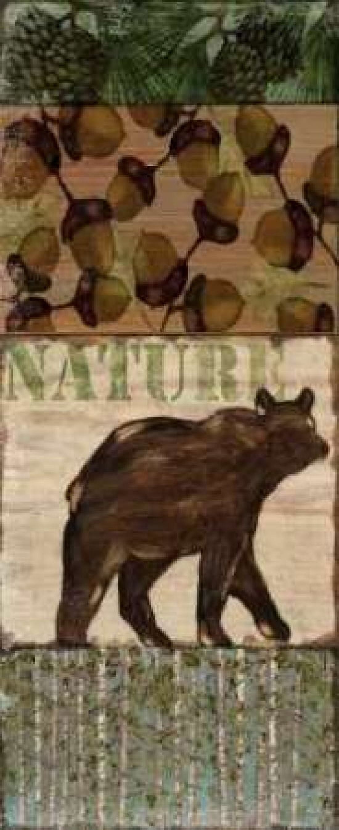 Nature Trail IV Canvas Art - Paul Brent (24 x 48)