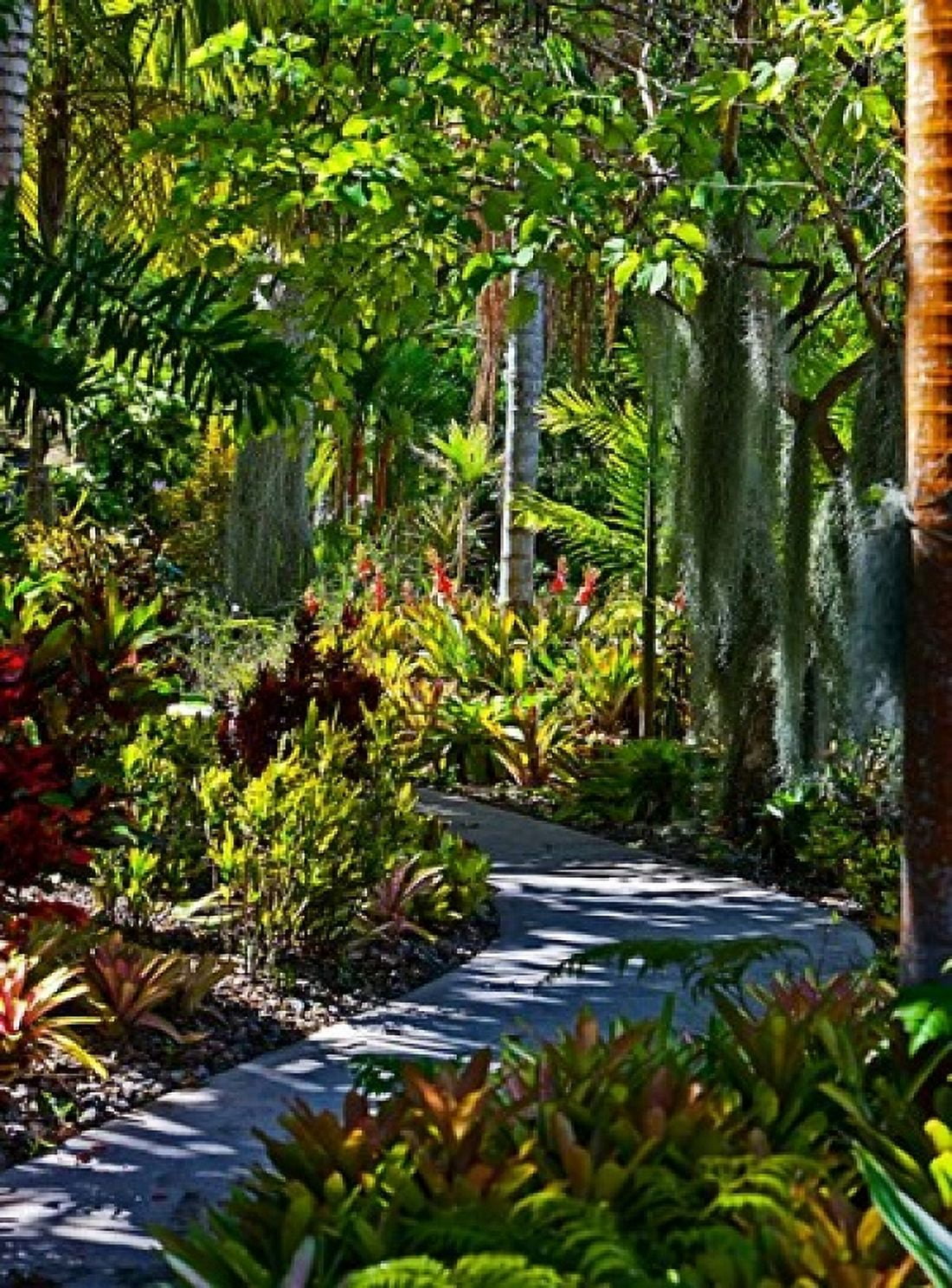 Nature Trail in Charlestown on Nevis West Indies Canvas Art - Joe Restuccia III DanitaDelimont (18 x 25)