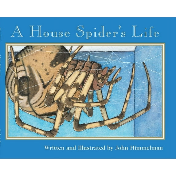 Nature Upclose A House Spider's Life (Nature Upclose), (Paperback)