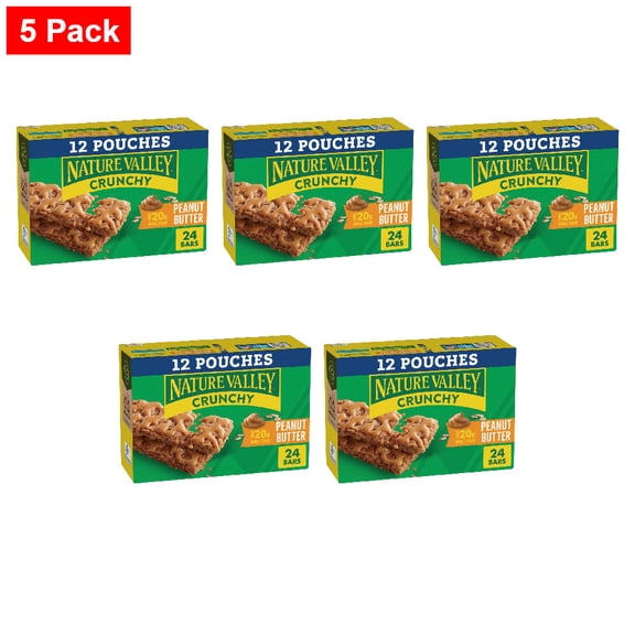 Nature Valley Whole Grain Oats and Chocolate Crunchy Dipped Granola Squares Lunch Box Snacks 12 ct / 1.49 oz - 5 Pack