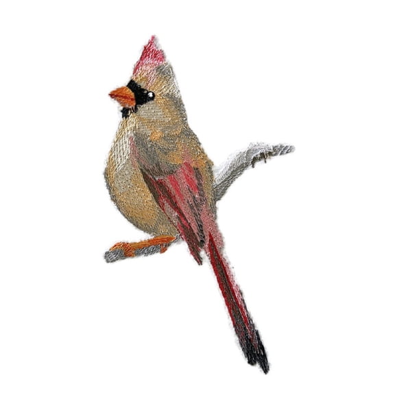 Nature Weaved in Threads, Amazing Birds Kingdom [Cardinal (Female) ] [Custom and Unique] Embroidered Iron on/Sew Patch (3.83" x 6") [Made in USA]
