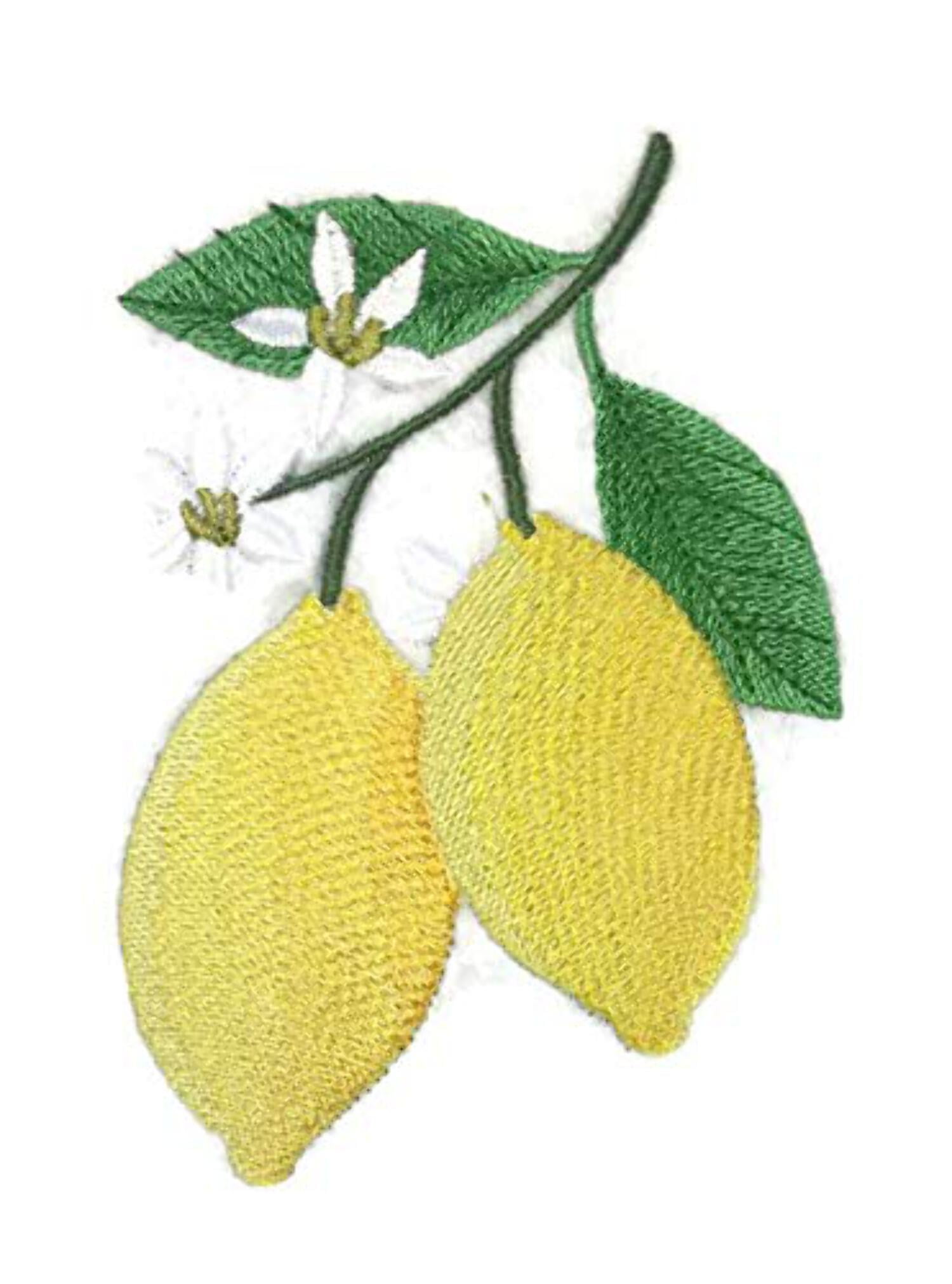 Nature Weaved in Threads, Fruits[Lemons] [] Embroidered Iron on/Sew Patch [4.8"x"3.2"] …