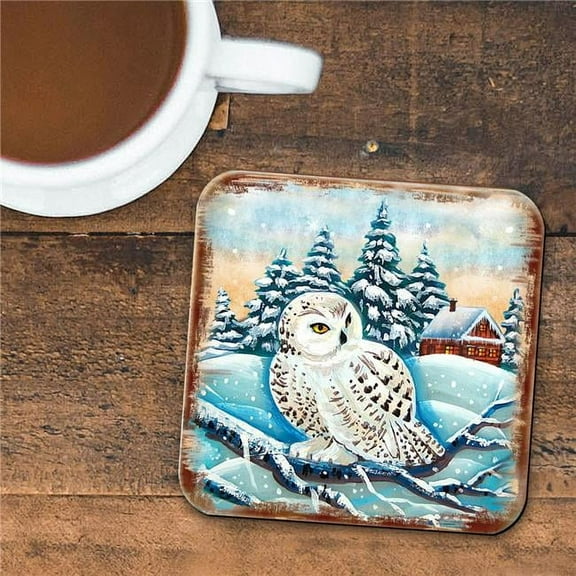 Nature Wonders 95213C-S4 4 x 4 in. Owl Wooden Cork Coasters Gift - Set of 4