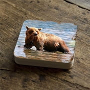 Nature Wonders 95297C-S4 4 x 4 in. Bear Wooden Cork Coasters Gift - Set of 4