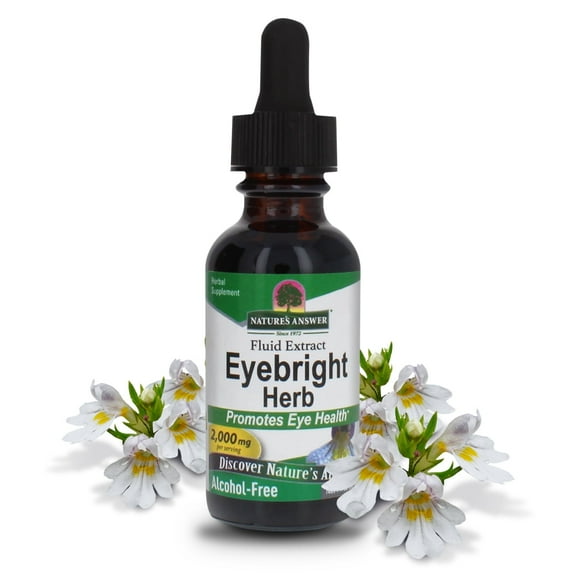 Natures Answer Eyebright Liquid Extract 2,000 mg, Eye Comfort & Wellness Support, Alcohol-Free Herbal Supplement, 1 fl oz