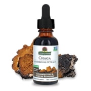 Natures Answer Chaga Mushroom Extract, Alcohol Free, 1 Fl Oz 30 mL