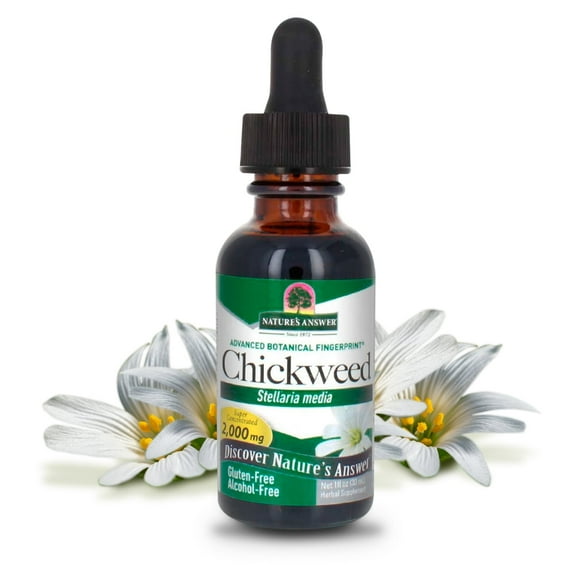 Nature's Answer Chickweed Extract, Stelleria Media, Alcohol-Free, 2000mg, 1 fl oz