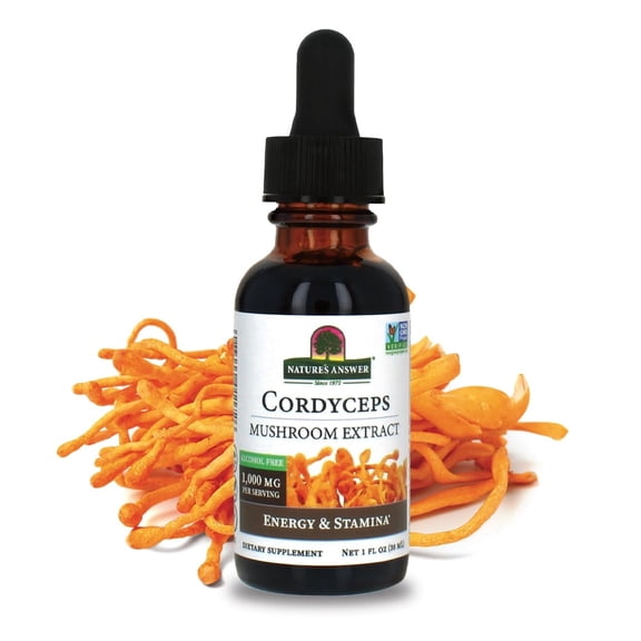 Nature's Answer Cordyceps, Mushroom Extract, Alcohol Free, 1 fl oz (30 ml)
