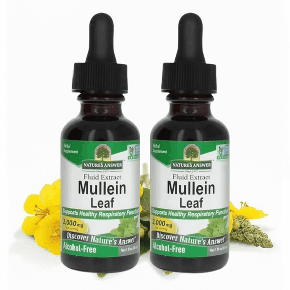 Nature's Answer Mullein Leaf Extract – Alcohol-Free Herbal Lung Support – Non-GMO – Promotes Respiratory Health – 1 fl oz, 2 pack