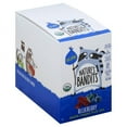 thumbnail image 1 of Nature's Bandits Organic Fruit & Veggie Stix - Blueberry, 1 Box Of 16 (1.0 Oz) Bags - Gluten Free, Vegan, Kosher Snacks, 1 of 5