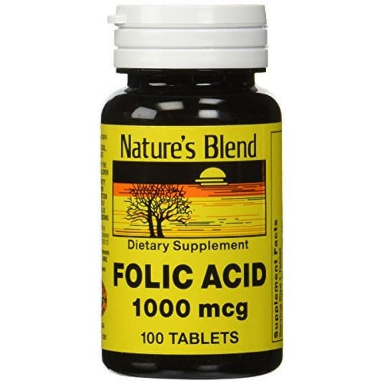 Nature’s Blend Folic Acid 1000 mcg Tablets 1000 Ct Vitamin B9 Folic
