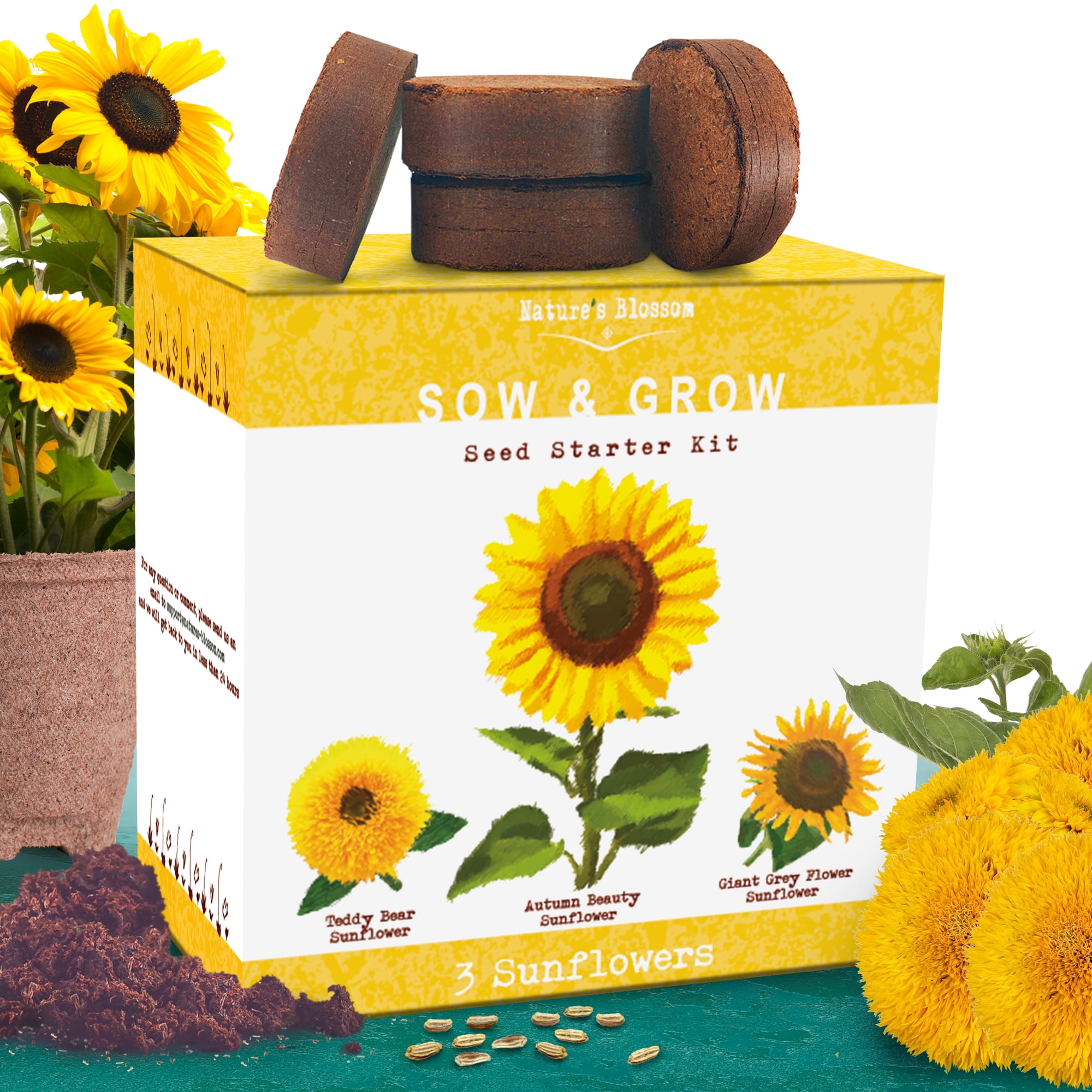 Nature's Blossom 3 Sunflowers Grow Kit