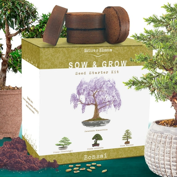 Nature's Blossom Bonsai Tree Grow Kit - 4 Bonsai Trees to Grow From Seed