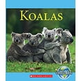 thumbnail image 1 of Pre-Owned Koalas (Library Binding) 9780531227206, 1 of 1