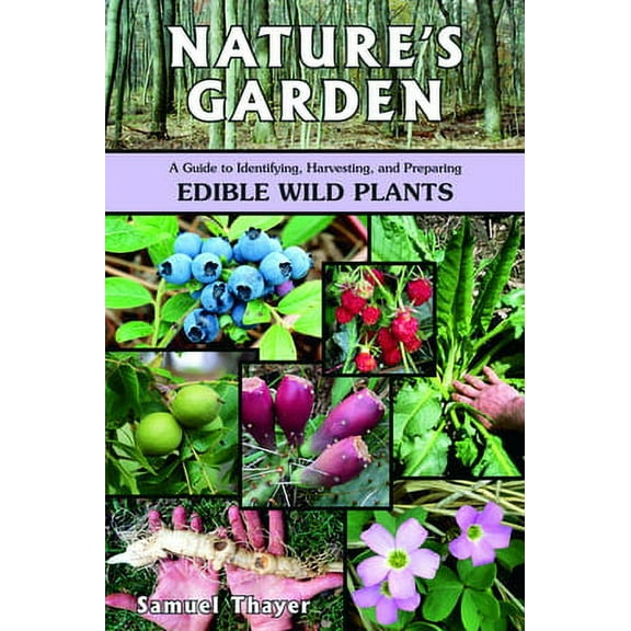 Nature's Garden : A Guide to Identifying, Harvesting, and Preparing Edible Wild Plants (Paperback)