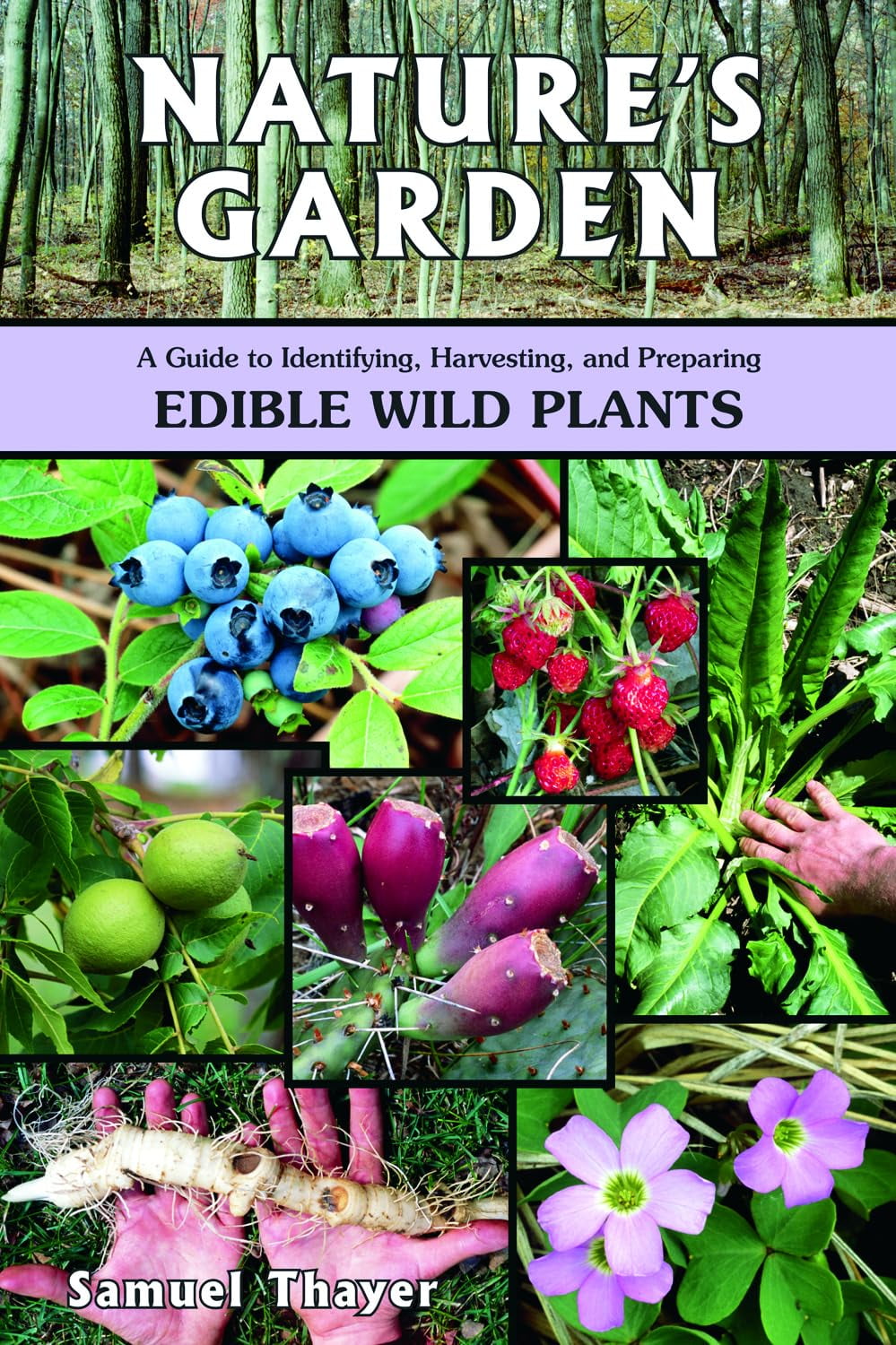 Pre-Owned Natures Garden: A Guide to Identifying, Harvesting, and Preparing Edible Wild Plants Paperback Samuel Thayer