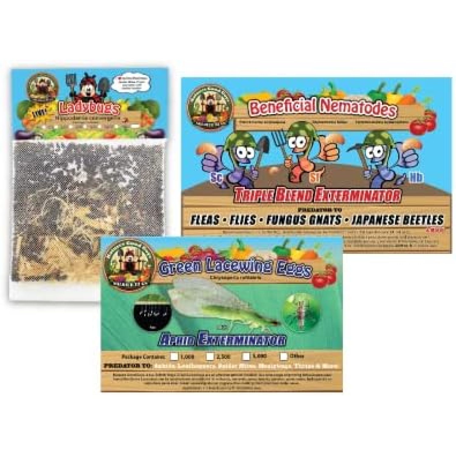 Nature's Good Guys General Predator Garden Pack 1,500 Ladybugs Plus 1,000 Lacewing Eggs Plus 5