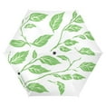 thumbnail image 1 of Nature's Greenery Folding Umbrella UV50+ Waterproof Sun Protection Auto Open Close Compact Fiberglass Frame, 1 of 8