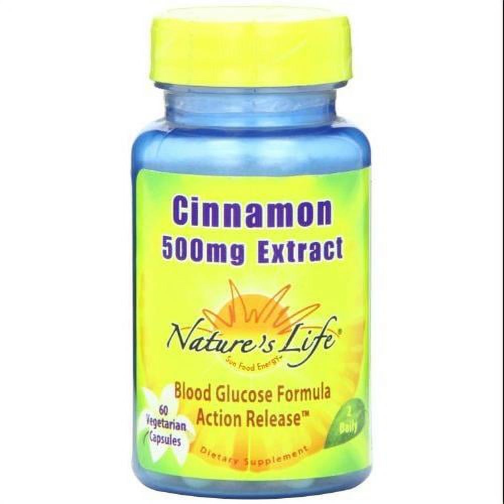 Nature's Life Cinnamon Extract , 500 Mg, 60 Capsules