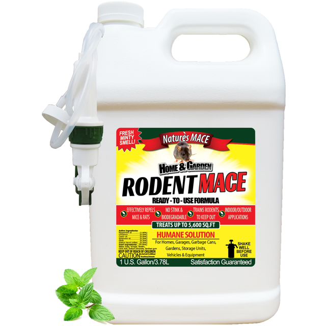 Nature's MACE Peppermint Rodent Mouse Repellent 1 Gallon ReadytoUse