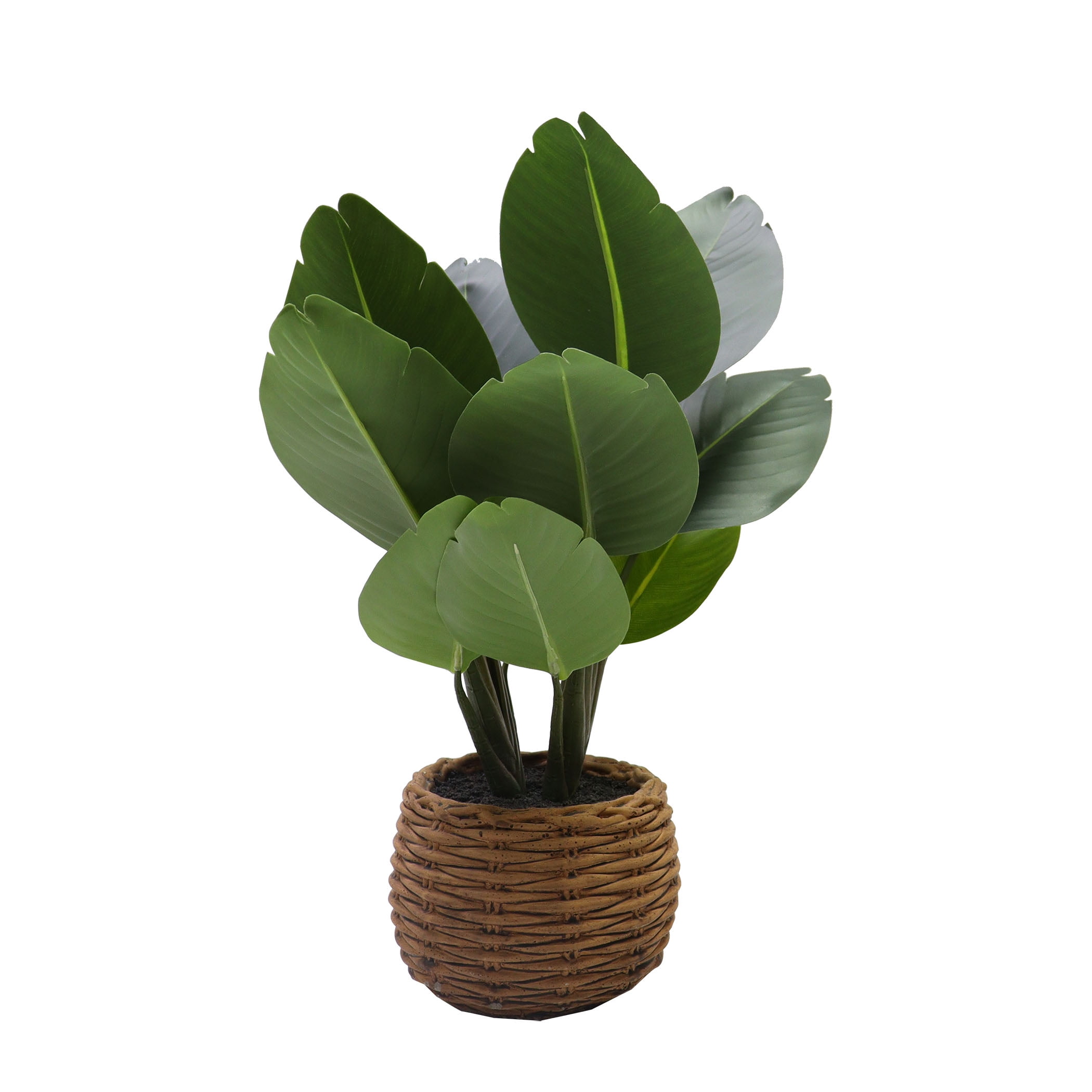 Nature's Mark 16.9”H Artificial Birds of Paradise Greenery Plant in Cement Woven Look Pot