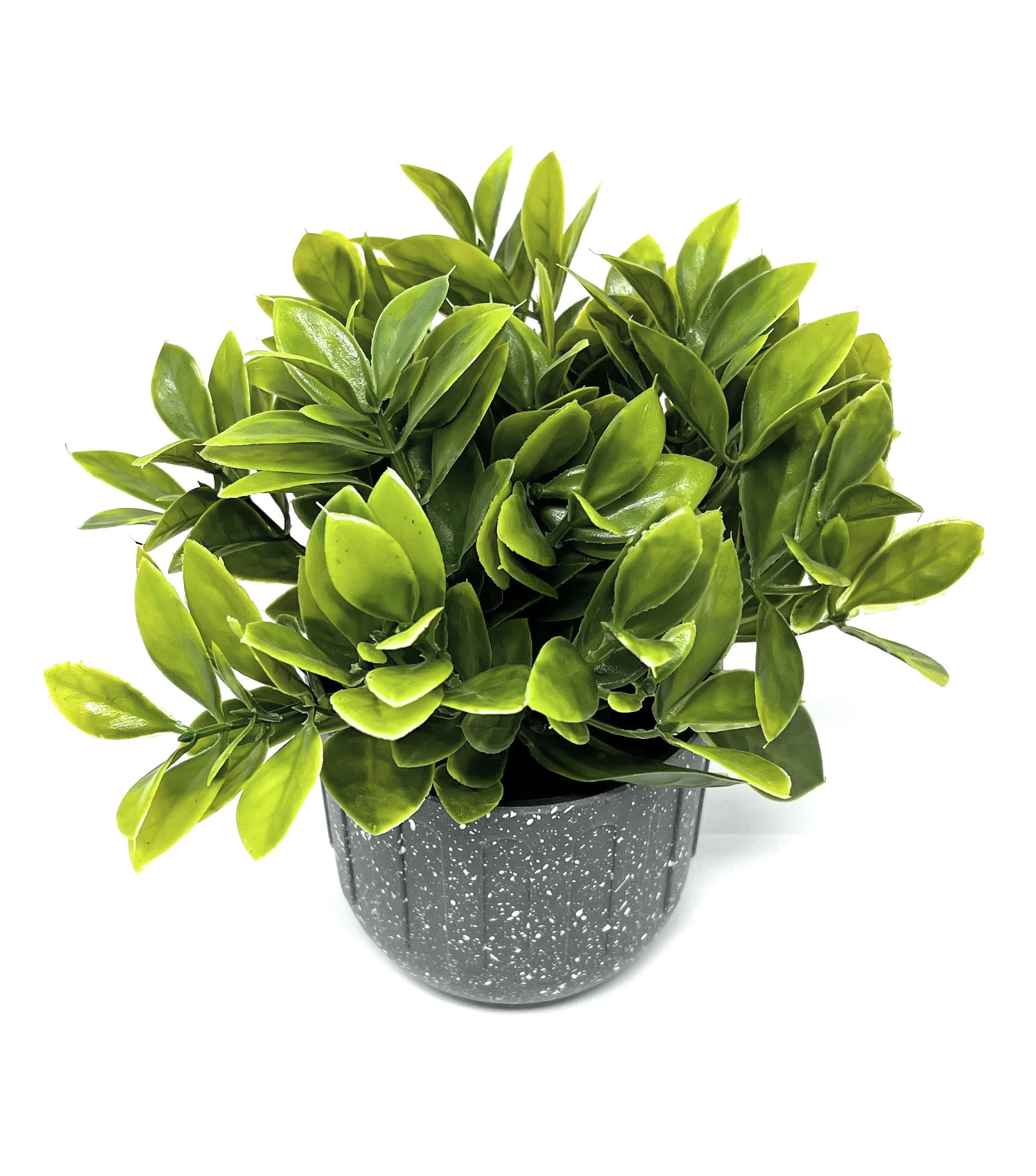 Nature's Mark 7.5”H Artificial Greenery Plant in Gray Plastic Pot