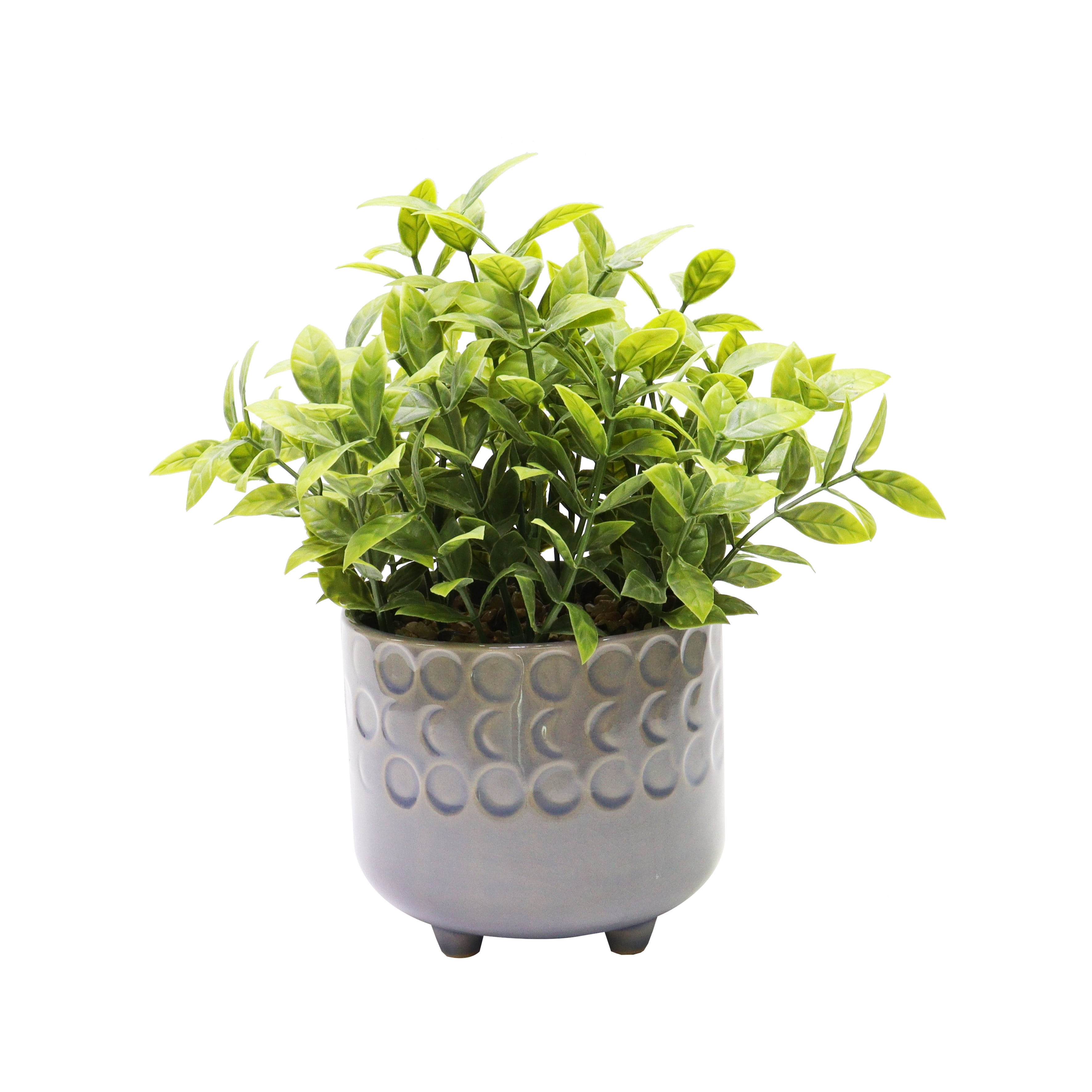 Nature's Mark 9”H Artificial Jade Plant in Gray Ceramic Pot