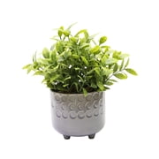 Natures Mark 9 H Artificial Jade Plant in Gray Ceramic Pot