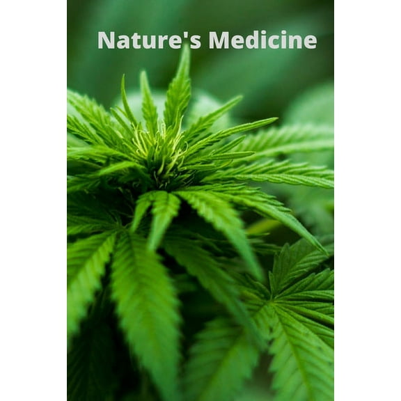 Nature's Medicine (Paperback)