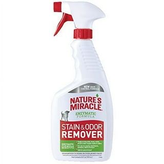 Enzyme Cleaners Dog Urine