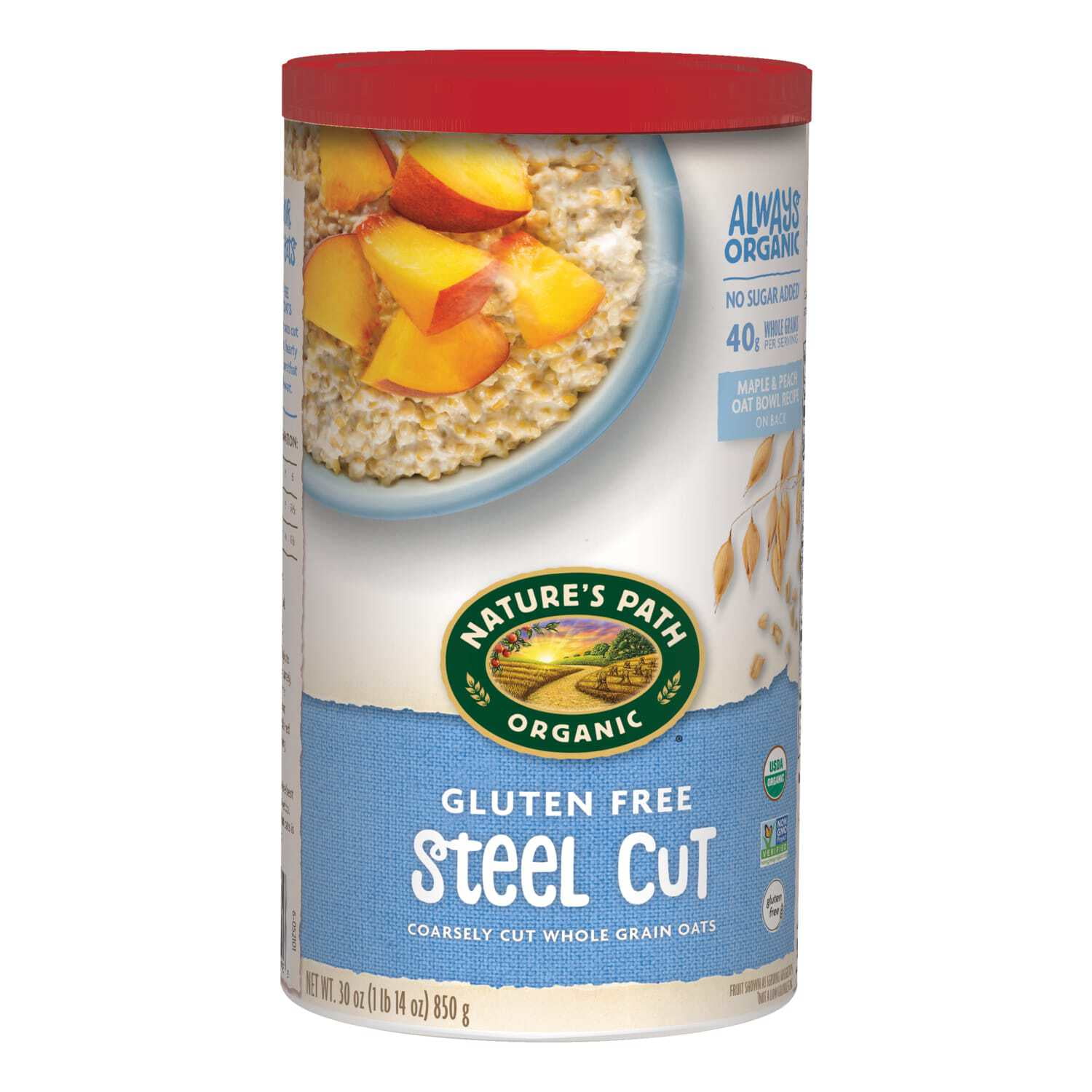 Nature's Path Organic Gluten Free Steel Cut Oatmeal 30oz Canister ...