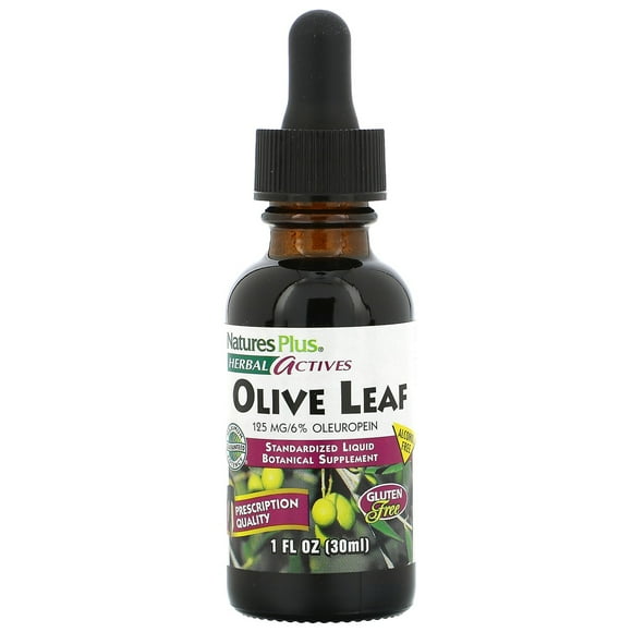 Nature's Plus Herbal Actives, Olive Leaf, Alcohol Free, 1 fl oz (30 ml)