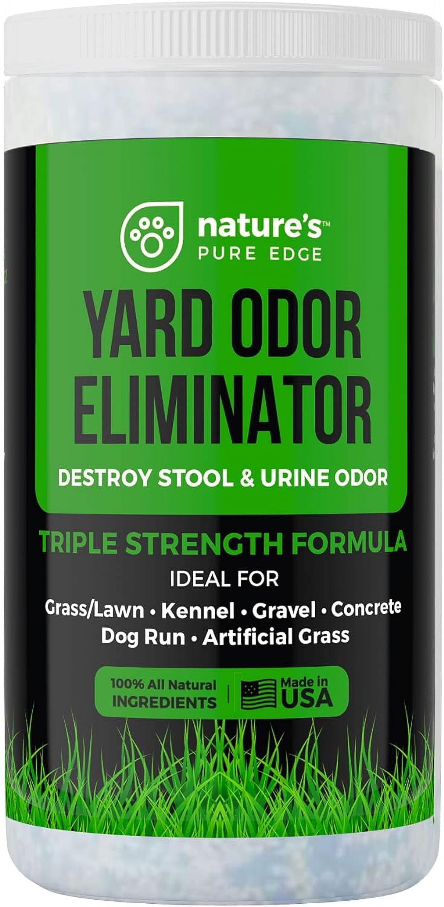 How to Eliminate Dog Urine Odor in Yard: Effective Tips That Work